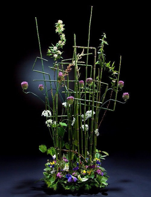 ライティングされたお花の写真